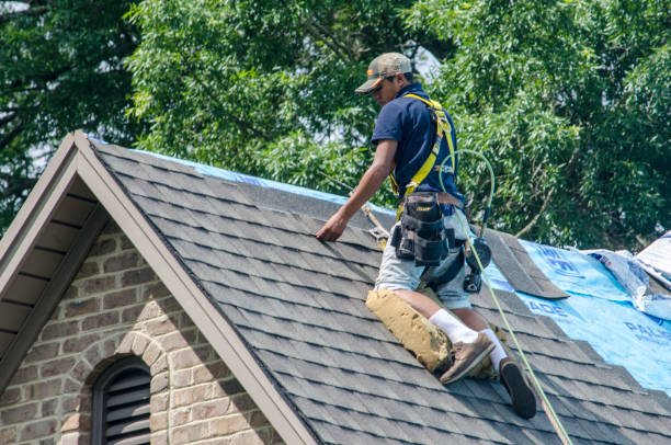 Best Roof Gutter Cleaning  in Brodheadsville, PA